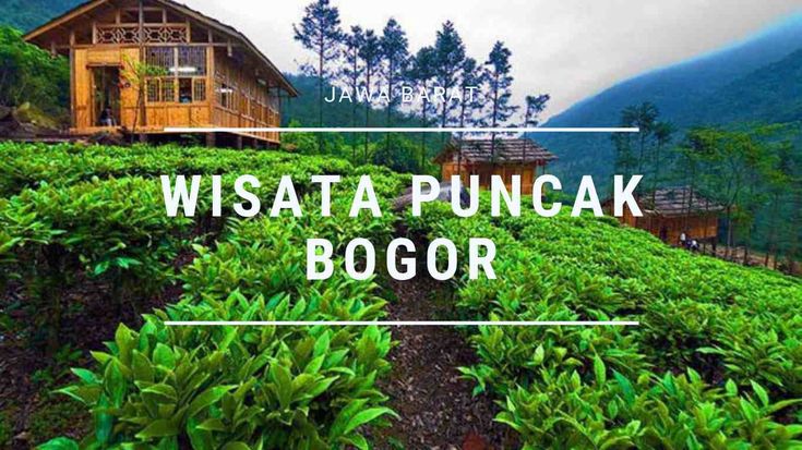 Serunya Wisata Alam Bogor