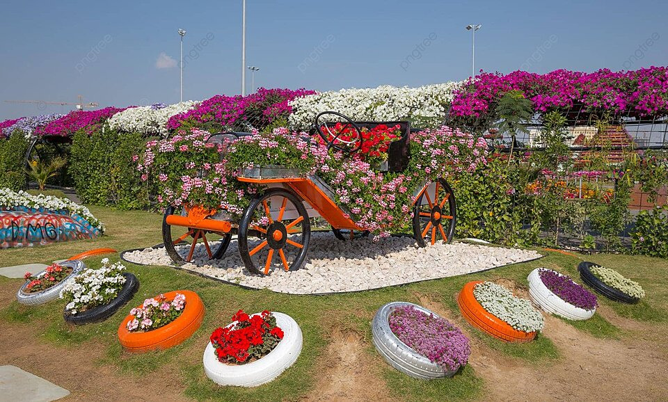 Flora Dubai Keajaiban Tumbuhan yang Bertahan di Tengah Gurun