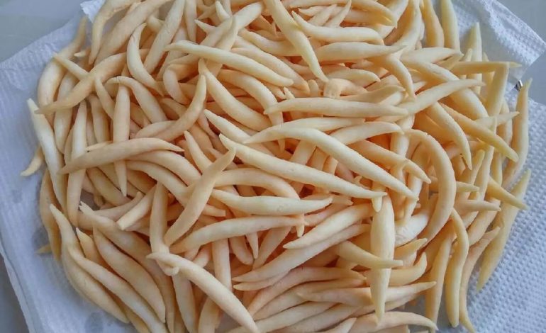 Varian Cemilan Curut Favorit